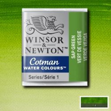 COTMAN SAP GREEN